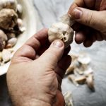 How to Store Vegetables for Longer Freshness – Keep Your Produce Crisp and Nutritious